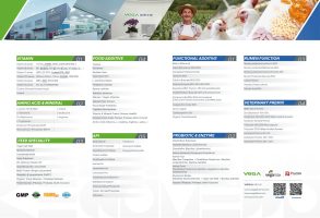 Vega Group